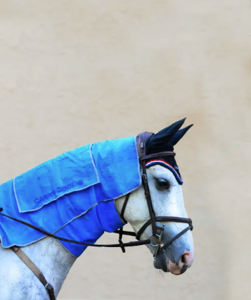Carry-Cool® Sport Horse Cooling Kit