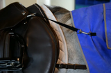 Carry-Cool® Sport Horse Cooling Kit